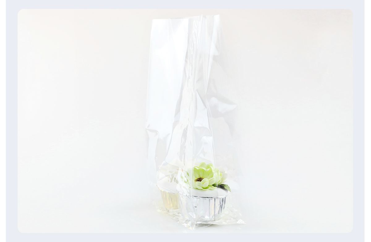 Clear Plastic Snack Bags